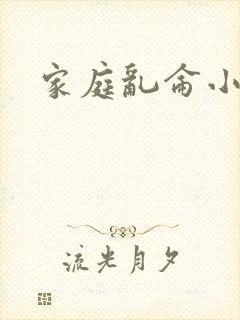 家庭乱仑小说封面