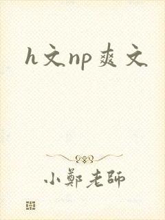 h文np爽文封面