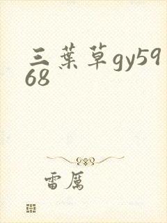 三叶草gy5968