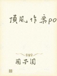顶风作案po封面