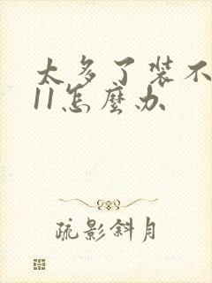 太多了装不下h11怎么办