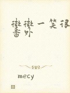 微微一笑很倾城番外