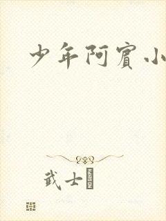 少年阿宾小说封面