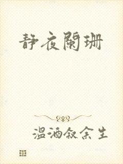 静夜阑珊