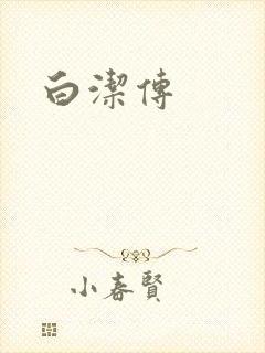 白洁传