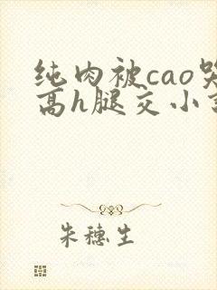 纯肉被cao哭高h腿交小说