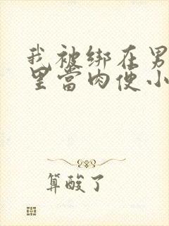 我被绑在男公厕里当肉便小说