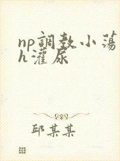 np调教小荡货h灌尿封面