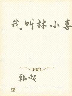 我叫林小喜17封面