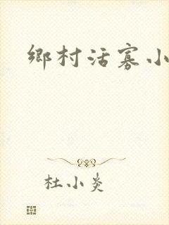 乡村活寡小说
