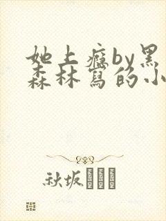 她上瘾by黑暗森林写的小说免费阅读无弹窗