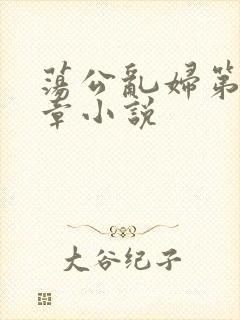 荡公乱妇第51章小说