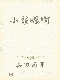 小说嗯啊