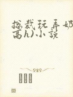 总裁玩弄奶头(高h)小说