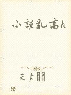 小说乱高h