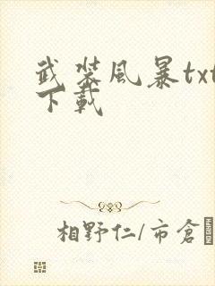 武装风暴txt下载