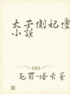 太子侧妃傻乎乎小说