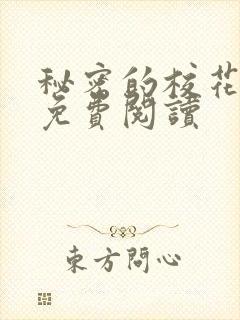 秘密的校花小说免费阅读