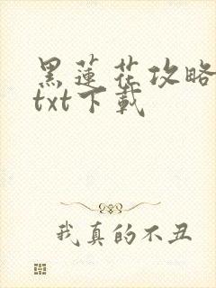 黑莲花攻略手册txt下载封面