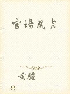 官场岁月