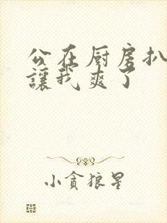 公在厨房扒开腿让我爽了封面