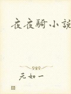 夜夜骑小说