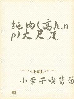纯肉(高h.np)大尺度封面