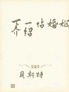 下一站婚姻剧情介绍