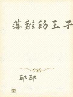 落难的王子封面