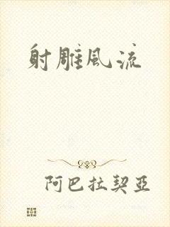 射雕风流