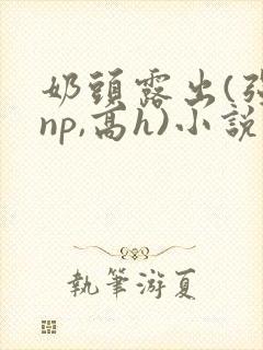 奶头露出(强jnp,高h)小说