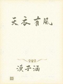 天衣有风封面
