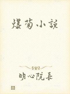 爆菊小说