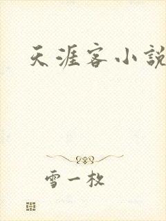 天涯客小说