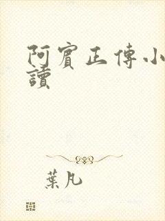 阿宾正传小说在读