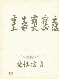 重生霸宠之摄政王爷太凶猛