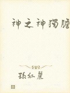 神之神独胆王封面