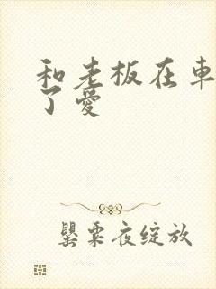 和老板在车里做了爱