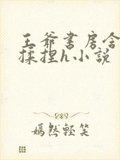 王爷书房含乳尖揉捏h小说