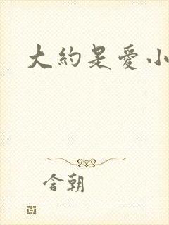 大约是爱小说