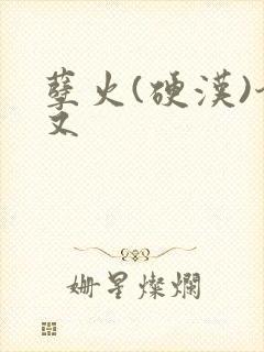 孽火(硬汉)今又