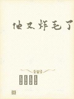 他又炸毛了封面