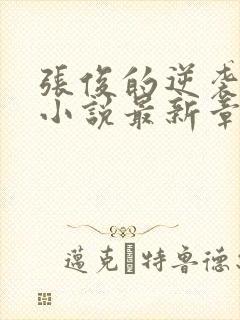 张俊的逆袭之路小说最新章节