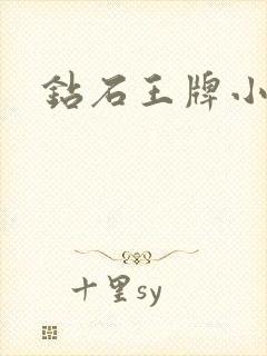 钻石王牌小说封面