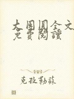 大团圆全文完整免费阅读封面