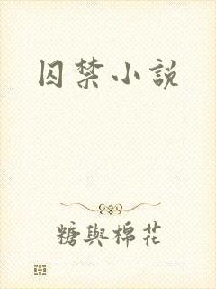 囚禁小说