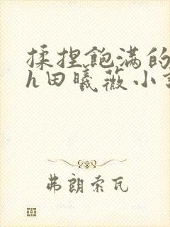 揉捏饱满的双乳h田曦薇小说