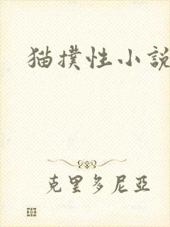 猫扑性小说
