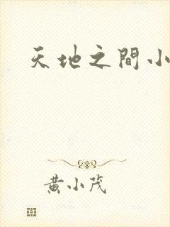 天地之间小说