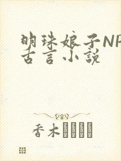 明珠娘子NPC古言小说